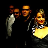 Taste in vibes en concert