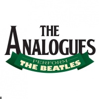 The Analogues en concert