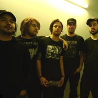 The Sainte Catherines en concert