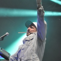 The Shoes en concert