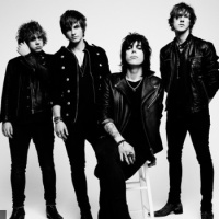 The Struts en concert