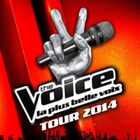 The Voice en concert