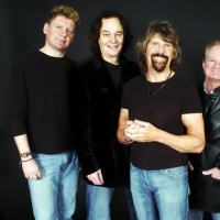 The Zombies en concert