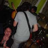 Triclops en concert