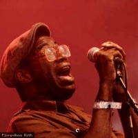 TV On The Radio en concert