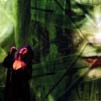 Twist of Fate en concert