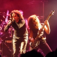 Veils of Perception en concert