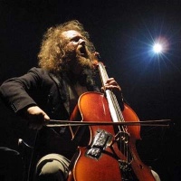 Violon Profond en concert