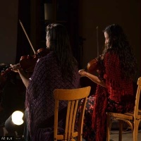 Les Violoneuses en concert