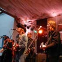 The walkabouts en concert