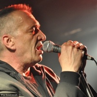Warum Joe en concert