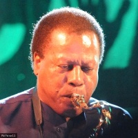 Wayne Shorter en concert