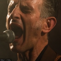 Where's Captain Kirk en concert