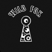 Wild Fox en concert