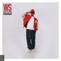 Will Smith en concert