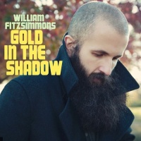 William Fitzsimmons en concert