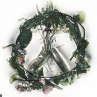 Wise Blood en concert