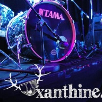 Xanthine en concert