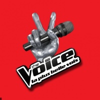 Yoann Fr&eacute;get en concert