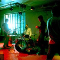 You Say Party! We Say Die! en concert