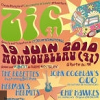 Festival Zic41