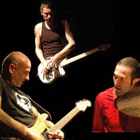 Zone Libre en concert