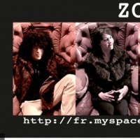 Zoo Animal Quartet en concert