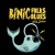 Binic Folks Blues Festival en concert