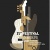 Festival de Guitare de Nice en concert