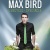 Max Bird en concert