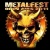 Metalfest en concert