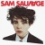 Sam Sauvage en concert
