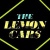 the Lemon Cars en concert