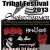 Tribal Festival en concert