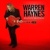 Warren Haynes en concert