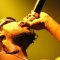 Afu-ra en concert