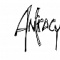 Antracyde en concert