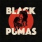Black Pumas en concert
