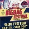 Big Bag Festival en concert