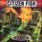Citizen Fish en concert