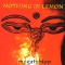 Nothing in Lemon en concert