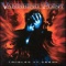Vanishing Point en concert