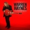 Warren Haynes en concert