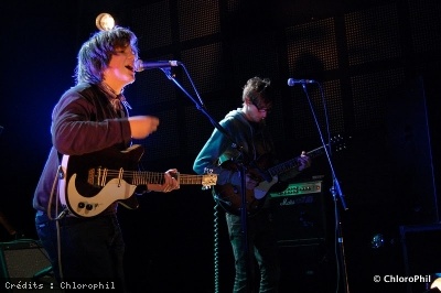 1 - Zal Laughed - Chlorophil